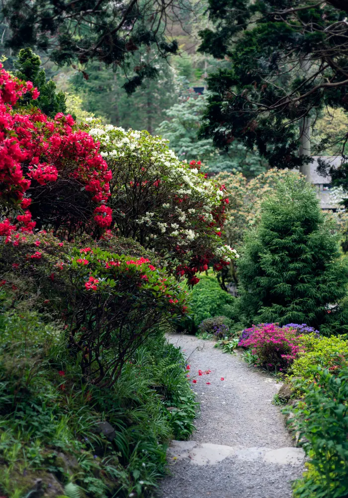 A beautiful garden with a stone walkway running through it