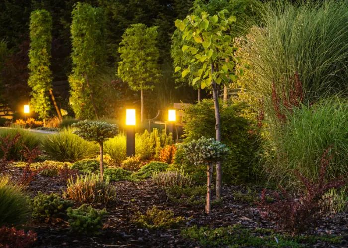 A beautifully landscaped yard with 3 new outdoor landscape lights