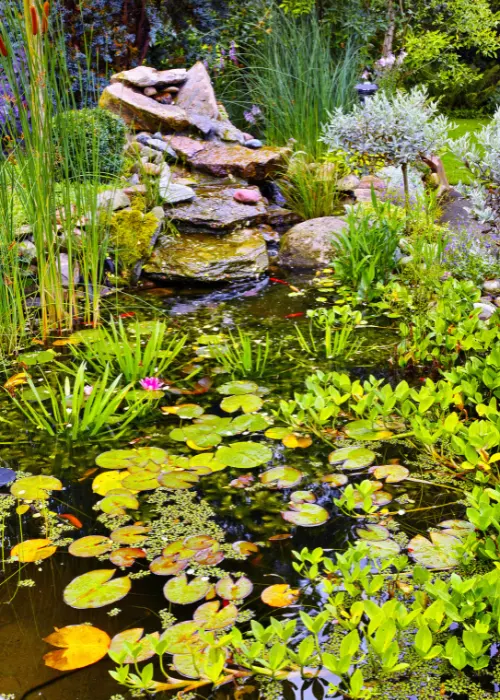 A new water garden with stacked stone and lily pads.